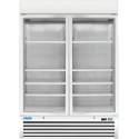 CONGELATOR PROFESIONAL SARO D 920 323-4160, CU 2 USI, CAPACITATE 1078 L, TEMPERATURA -18 / -24 ° C, ALB