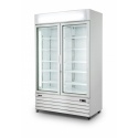 CONGELATOR PROFESIONAL SARO D 800 453-1009, CU 2 USI, CAPACITATE 228 L, TEMPERATURA -18 / -25 ° C, ALB