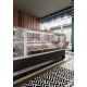 Vitrina frigorifica Forcar G-ER200GSS, capacitate 130 l, refrigerare statica, temperatura +2°C / +8°C, argintie