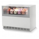 Vitrina frigorifica Forcar G-ER200GSS, capacitate 130 l, refrigerare statica, temperatura +2°C / +8°C, argintie