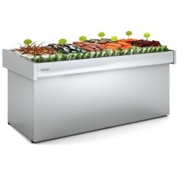 Vitrina frigorifica pescarie DOCRILUC DBFP-170, lungime 170 cm, potenta frigorifica HFC 675 W
