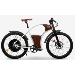 Bicicleta electrica RAYVOLT Torino PHSB, 1770x1050x680 mm