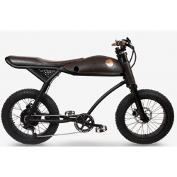 Bicicleta electrica RAYVOLT Ringo RSB+, 1687x980x700 mm