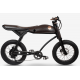 Bicicleta electrica RAYVOLT Ringo RPB, 1687x980x700 mm Bicicleta electrica RAYVOLT Ringo RPB, 1687x980x700 mm