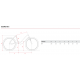 Bicicleta electrica GARELLI E-BIKE CYCLONE PASIUNE, greutate 21 kg