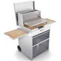 Gratar pe lemne PIANETAGRILL PIANETAGRILL46 GRI două tăvi laterale detașabile, compartiment dublu pentru lemn/accesorii și capac
