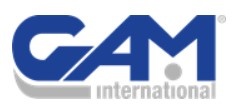 GAM